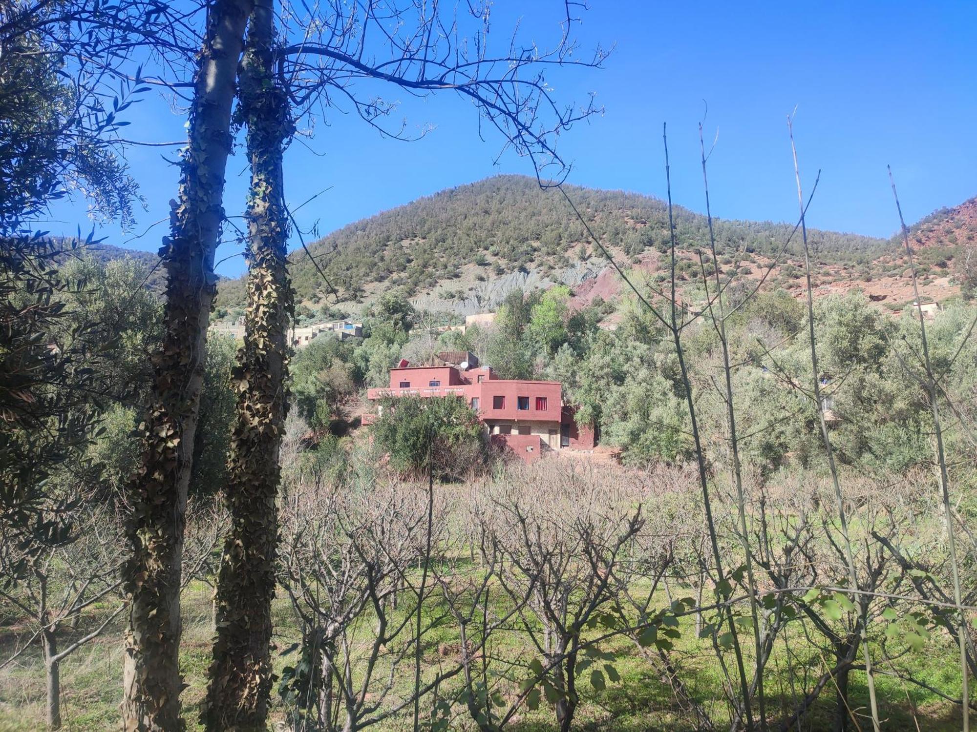 Chez Yahia, Au Coeur De L'Ourika Hotel Bagian luar foto