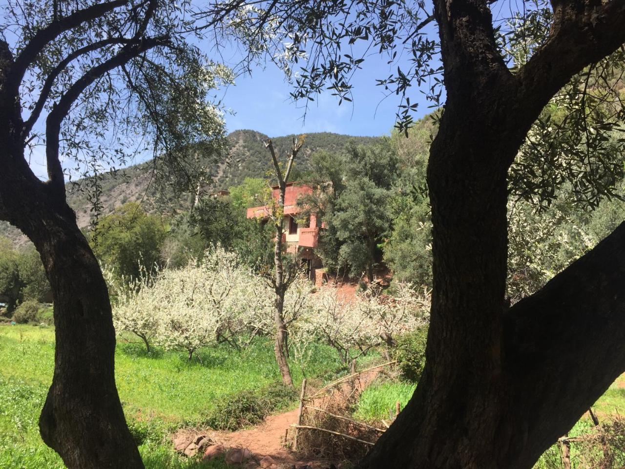 Chez Yahia, Au Coeur De L'Ourika Hotel Bagian luar foto